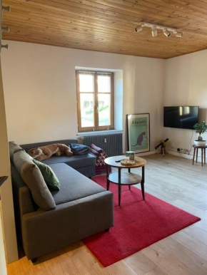 Le Hohwald centre appartement 2 pièces # 102